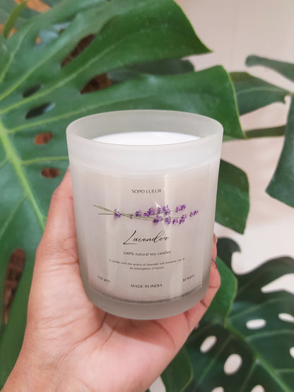 Lueur Lavender